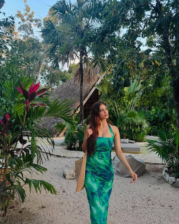 malvika-mohan-new-photo-shoot